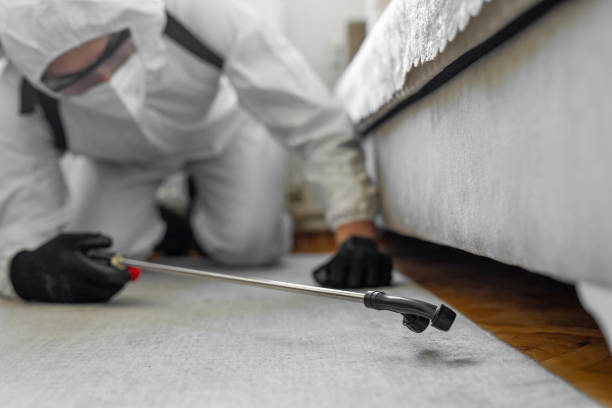 Professional Pest Control technician working in Hawaii, HI