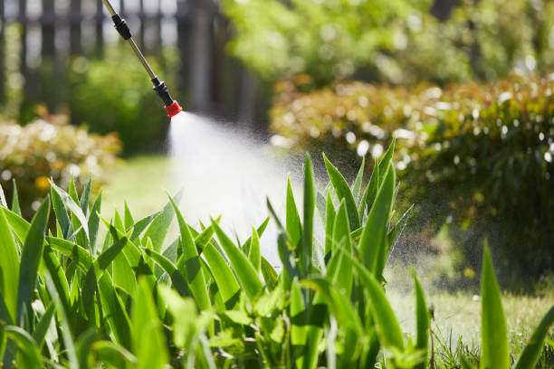 24/7 Emergency Pest Control experts in Hawaii, HI