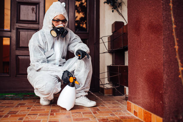 Reliable Pest Control contractor in Hawaii, HI by Show Me Pest Control